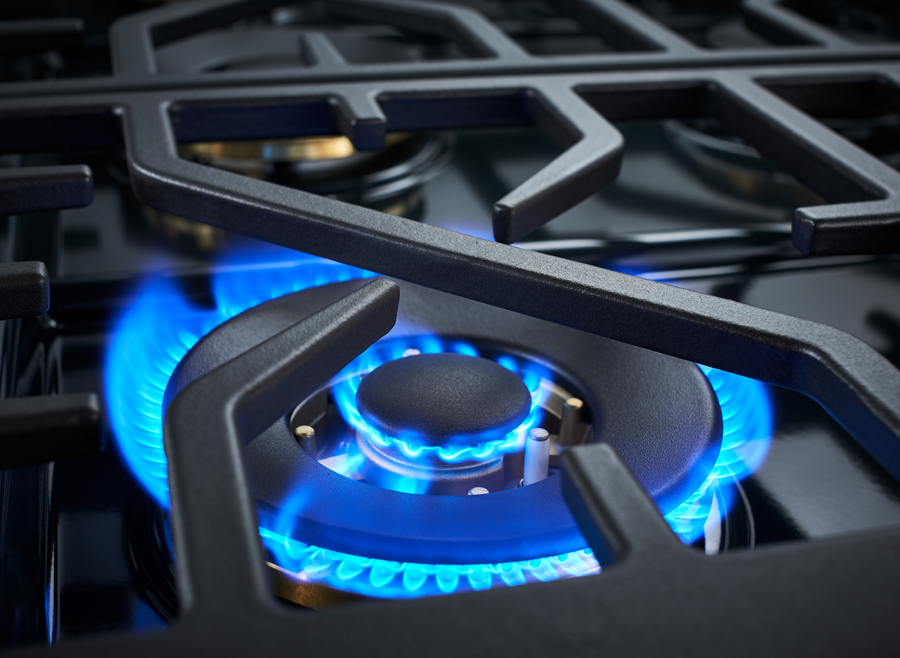 Forza 30-Inch Professional Dual Fuel Range FR304DF